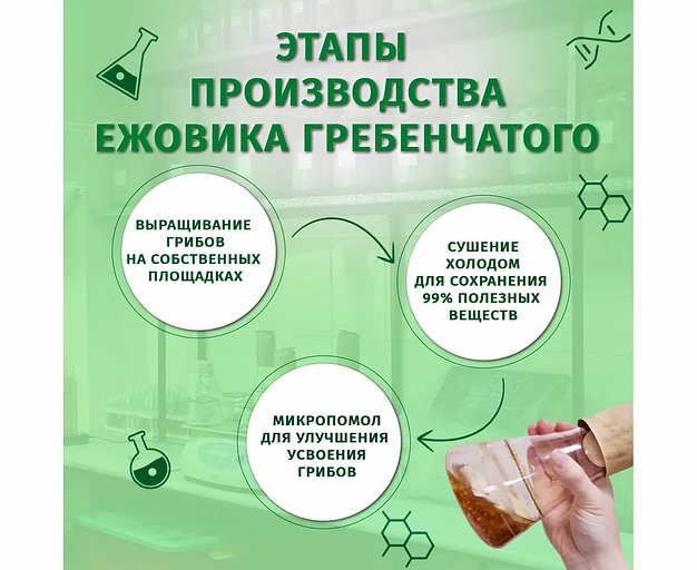 Пищевая добавка «Ежовик» 120 капс фото 7