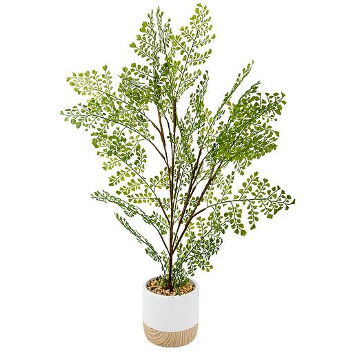 Папоротник курчавый в цементном горшке, Д125 Ш125 В710 фото 1