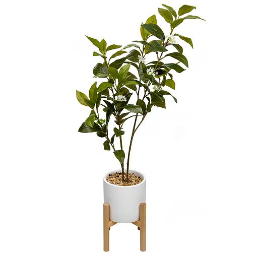 Дерево в цементном горшке с подставкой из МДФ, Д140 Ш140 В790 фото 1