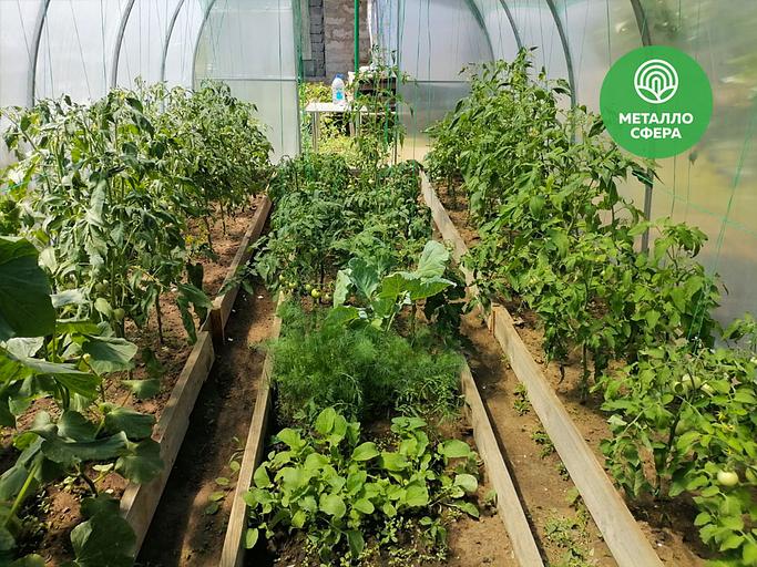 Арочная теплица «Практичная» ОПТ фото 6