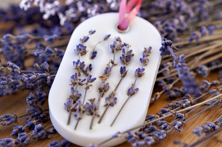 Флорентийское саше Razzo room фото 2