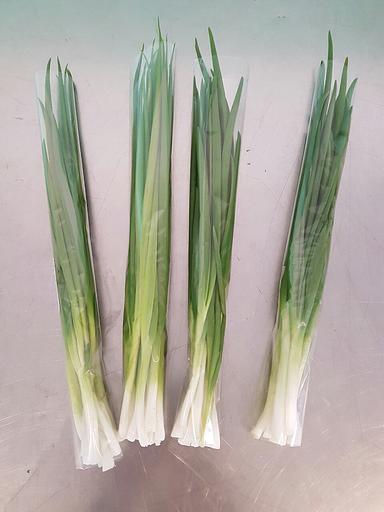 Лук зелёный Alice Garden 50 г ОПТ фото 5