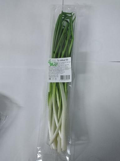 Лук зелёный Alice Garden 50 г ОПТ фото 6