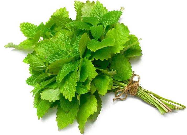 Мята Alice Garden 30 г ОПТ фото 1