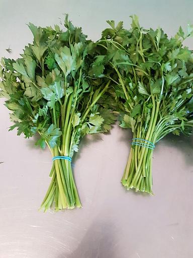 Петрушка свежая Alice Garden 50 г ОПТ фото 3