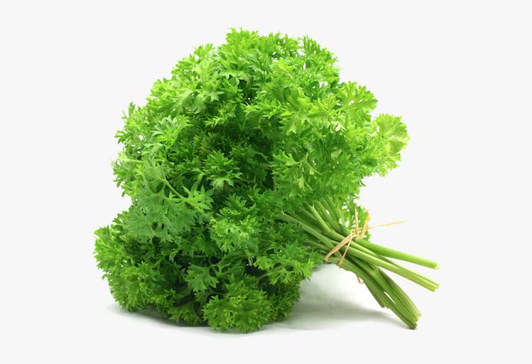 Петрушка кучерявая свежая Alice Garden 30 г ОПТ фото 1