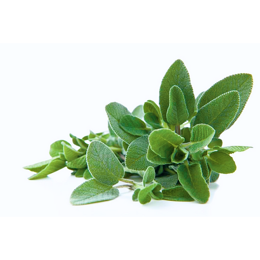 Шалфей свежий Alice Garden 30 г ОПТ фото 1