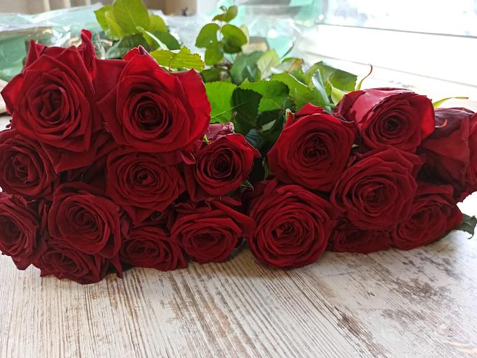 Розы сорта Ред Наоми ОПТ фото 5