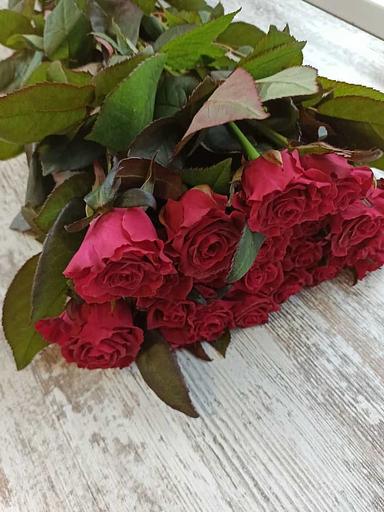 Розы сорта Адмирал ОПТ фото 3