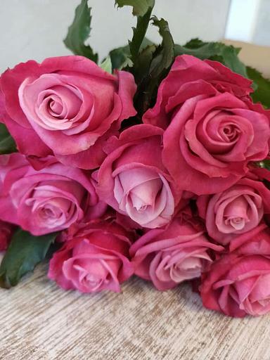 Розы сорта Дип Вотер ОПТ фото 2