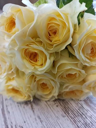 Розы сорта Ивана ОПТ фото 3