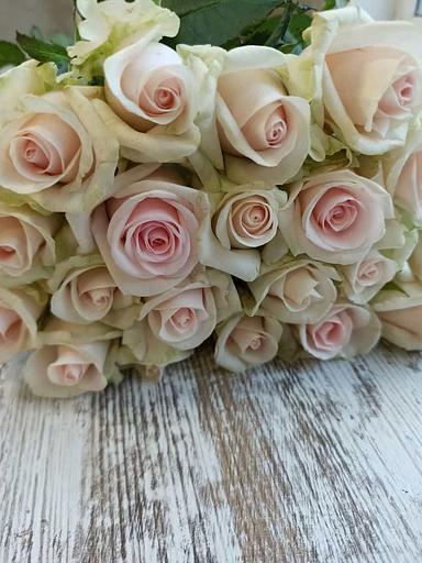 Розы сорта Свит Ревиваль ОПТ фото 3