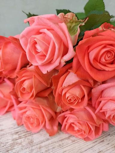 Розы сорта Жиардина ОПТ фото 2