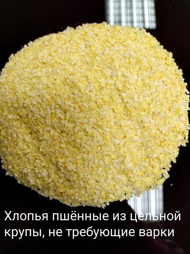 Хлопья пшённые из цельной крупы, не требующие варки ОПТ фото 1