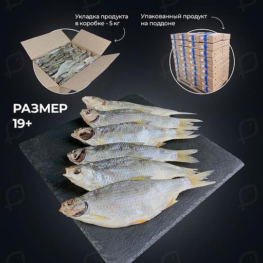 Кептірілген балық Vobla Aralskaya Profish, көтерме саудада фото 4