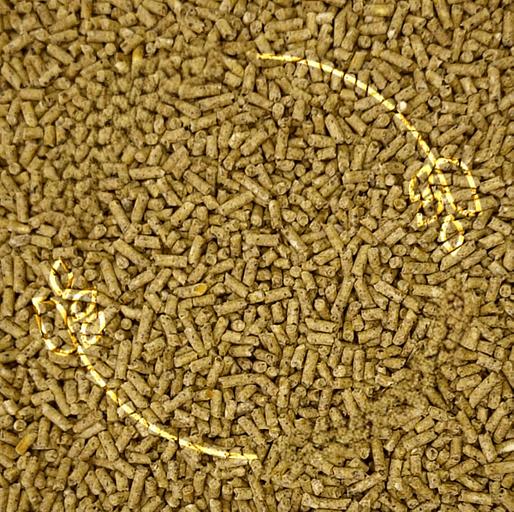 Комбикорм гранулированный полнорационный для индюшек ПК-12 фото 1