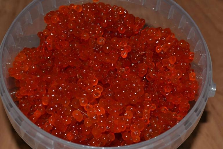 Икра Кижуча 2023 25кг ОПТ фото 2