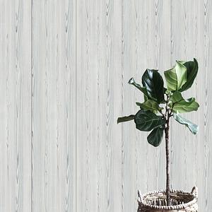 Classic Standard Exclusive қабырғаларға арналған МДФ панелі Жасыл Ағартылған фото 2