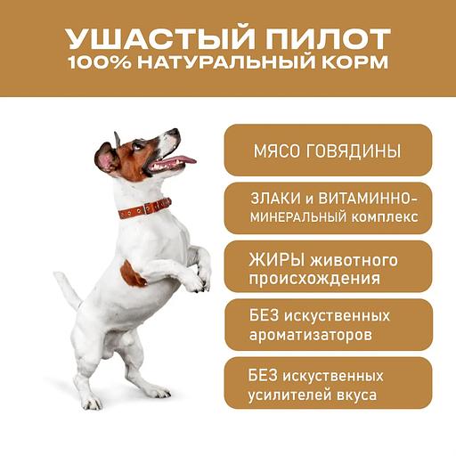 Dry dog food “Eared Pilot” 4 kg фото 4