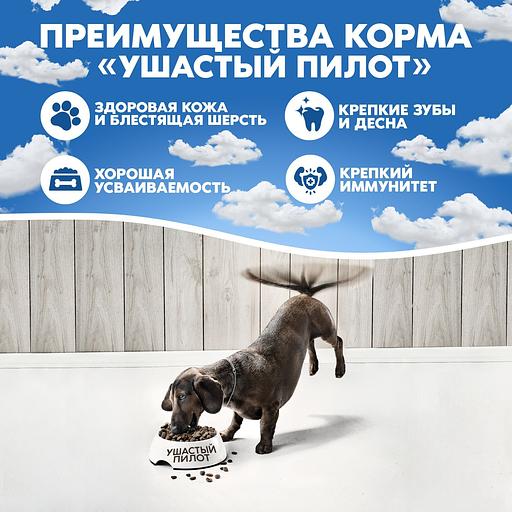 Корм для собак сухой «Ушастый пилот» с говядиной фото 9