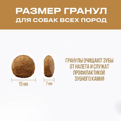 Корм для собак сухой «Ушастый пилот» с рыбой фото 3