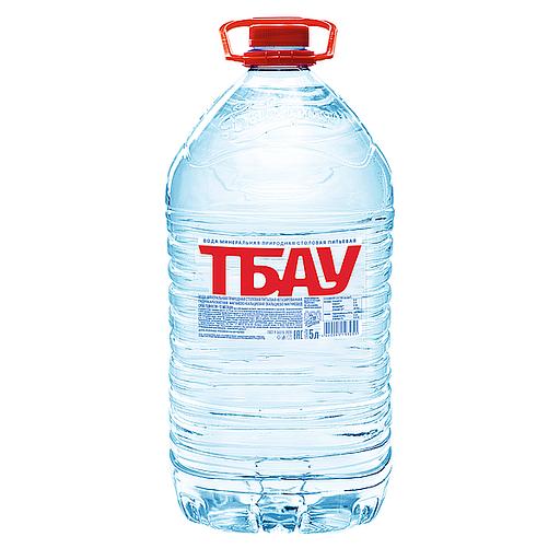 «ТБАУ» минералды табиғи ауыз суы газдалмаған 5 л, көтерме фото 1