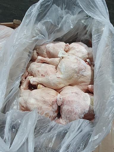 Tushka CB (тауық бройлері) 1,8 кг фото 2