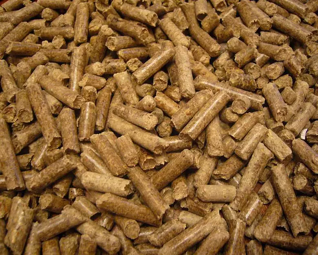 Рапс ұнынан жасалған жем фото 1